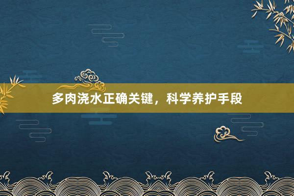 多肉浇水正确关键，科学养护手段