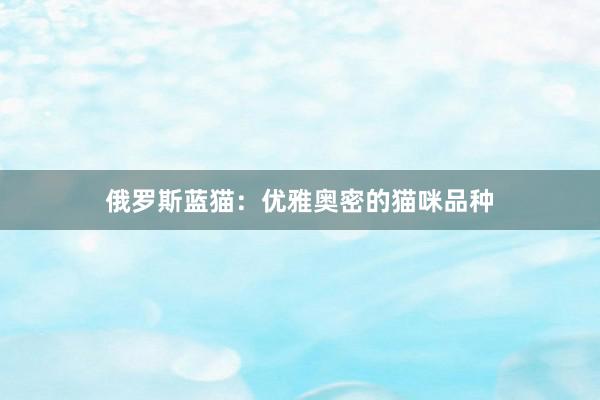 俄罗斯蓝猫：优雅奥密的猫咪品种
