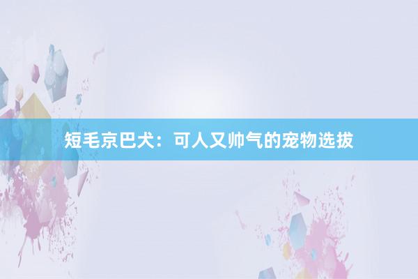 短毛京巴犬：可人又帅气的宠物选拔