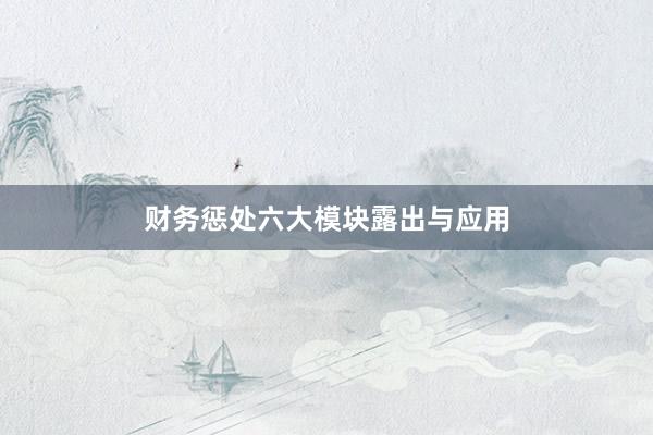 财务惩处六大模块露出与应用
